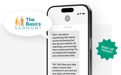 the basics vermont